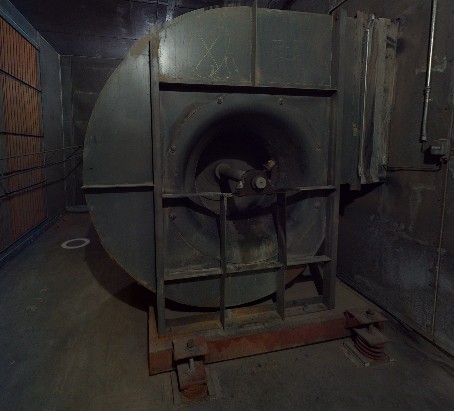 ASSESSMENT IMAGE 3